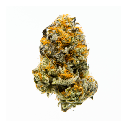 Divine Jelly HHC Flower